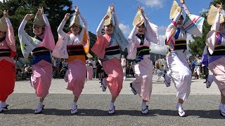 本場徳島阿波おどり_阿波おどり振興協会選抜連が秋の嵐山で踊る！中之島公園4Kフルver_20171008 Awaodori in Tokushima Japan