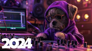 New Music Mix 2024 🎧 Remixes of Popular Songs 🎧 EDM Gaming Music Mix