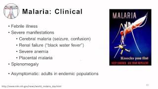 Protozoa: Intro and Blood-borne Infections