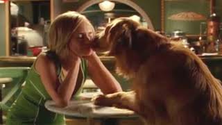 Digby Licks Olive - Pushing Daisies