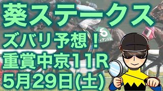 【投資競馬塾】葵ステークス・重賞・中京11R★ズバリ予想！★令和3年5月29日（土）