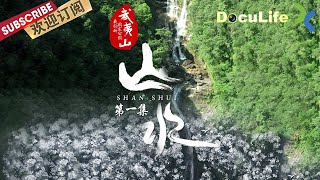 《武夷山·我们的国家公园》福建武夷山：隐藏在福建的宝藏奇峰 秀甲东南的山水 看它千遍也不倦！第一集【Doculife-SMG纪实人文官方频道】