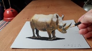 Drawing a Rhinoceros, 3D Trick Art