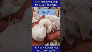 નવા લસણ ના બજાર ભાવ |લસણ ના ભાવ ગોંડલ | lahsun ka bhav Gondal |Gondal Marketing Yard 10/7/24 #shorts