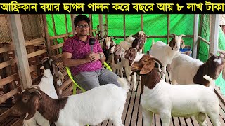 সবচেয়ে দ্রুত বর্ধনশীল আফ্রিকান বয়ার ছাগল পালন সফল গাজীপুরের ফরিদ ভাই বছরে আয় ৮ লাখ টাকা goat farm