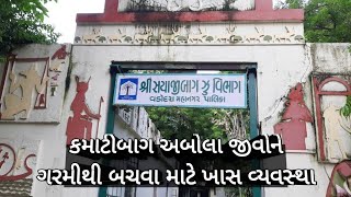 કમાટીબાગ અબોલા જીવો | ગરમીથી રક્ષણ માટે ઉપાયો