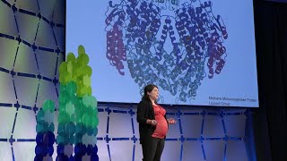 How to Change the Rate of Global Warming in our Lifetimes | Desiree Plata | TEDxBoston
