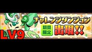 【パズドラ】第4回チャレンジダンジョンLV9【呂布ソニア】