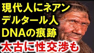 絶滅したネアンデルタール人のDNA痕跡が現代人に、ヨーロッパで発見