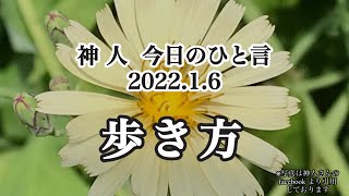 神人今日のひと言〜歩き方〜自他〜自問自答〜神の中に在る〜