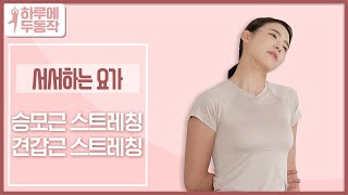 [하루에 두동작]  서서하는 요가