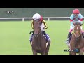 【競馬 ステルヴィオ】マイルチャンピオンシップ 2018年 11月18日 京都11r