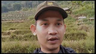 perjalan menuju curugkiarakuning gunung sawal