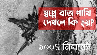 স্বপ্নে বাজপাখি দেখলে কি হয় | স্বপ্নে চিল কাক শকুন দেখলে কি হয় | shopne baj pakhi dekhle ki hoy