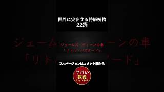 世界に実在する特級呪物22選16【放送禁止級の闇歴史】フルバージョンはコメント欄から #ヤバい教養チャンネル #shorts