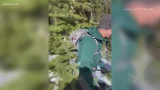 Christmas tree hunting on skis is The Most Colorado Thing We Saw Today