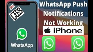 WhatsApp Push Notifications Not Working on iPhone || WhatsApp Notifications Issue After iOS Update