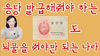 (21/11월2일)[한글자막] 다 망가진 북한의 중요한 시스템- 공민등록!