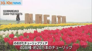 河川敷に２０万本のチューリップ