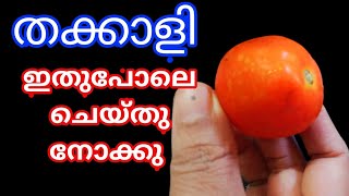 കൈകളിലെ ചുളിവുകൾ മാറാൻ തക്കാളി മാത്രം മതി /How to make hands soft and wrinkle-free with tomato