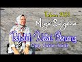 TEKHETUH NETAI BENANG (Mega Sulyana) Cipt, Zulian Haidir •• Lagu Lampung Terbaru 2023