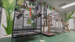 28 birds stolen from Punta Gorda non-profit