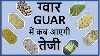 #guargum, #guarprice  When will Guar and Guar gum prices go up ?