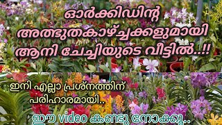 ഓർക്കിഡിന്റെ എല്ലാ പ്രേശ്നത്തിന്റ പരിഹാര മാർഗങ്ങൾ.. ( SK orchids )