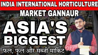 International Horticulture Market Gannaur Sonipat