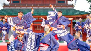 [4K] 藍なり 【特別賞披露演舞】 京都さくらよさこい 2022 さくよさ 2日目 (中央)