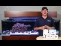 week 46 aquarium controller how to s the seneye tank update 52 weeks of reefing