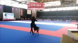 Winner 2014 Dogdance Demo