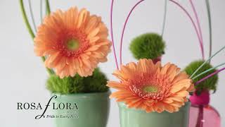 IFD Flower Trends Forecast 2020 with Rosa Flora