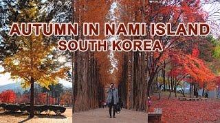 AUTUMN IN NAMI ISLAND, SOUTH KOREA - ANAKJAJAN.COM