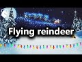 How could flying red nosed reindeer evolve? (from Livestream Q&A #109)