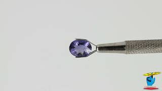 4.08Cts 155035 | Iolite