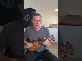 new year s day solo ukulele instrumental cover by em vlatko