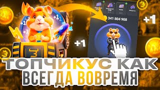 Проверка «новой» коллекции на Bulldrop