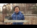 why 기찻길을 떠나지 않는 누렁이 @tv동물농장 140126