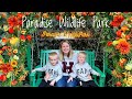 Summer Evenings in Paradise | Paradise Wildlife Park AD