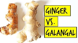 What is the Difference Between Ginger and  Galangal??!