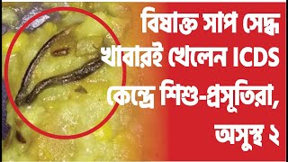 বিষাক্ত সাপ সেদ্ধ খাবারই খেলেন   ICDS কেন্দ্রে শিশু-প্রসূতিরা,  অসুস্থ ২, বিক্ষোভ স্থানীয়দের