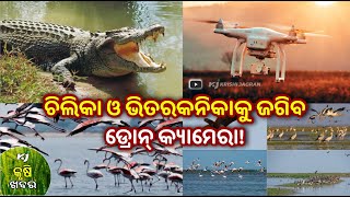 ଚିଲିକା ଓ ଭିତରକନିକାକୁ ଜଗିବ ଡ୍ରୋନ୍‌! odia bulletin। Drone। Farmers। Loan। Top Agriculture News।