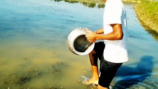 Amazing fish catching video | বিলের মধ্যে জাল পেতে মাছ ধরার মজাই আলাদা | Rupak village life |