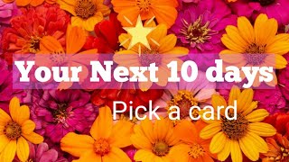 Your next 10 days| அடுத்த 10 நாட்கள்| Pick a card timeless tarot reading #timeless #tarot