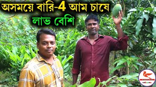 বারি-4 জাতের আমের চারা কোথায় পাবেন চাষ পদ্ধতি || বারি-4 জাতের আমে 1 বিঘায় কত লাভ ?