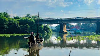 #shorts Kodungallur Pullut‌ || Canoli Canal|| ഗ്രാമഭംഗി || Kodungallur