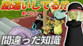 ドラクエ10 あなたもその一人かも！間違った知識を正しく訂正！為になる豆知識【ドラクエ10】