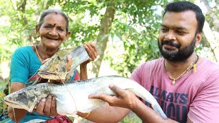 Wallago Attu Fish Recipe || Wallago Fish Curry By My Grandmother || Myna Street Food