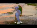 amonra music one day original mix